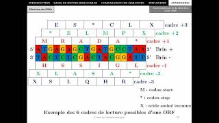 Bioinformatique  Chapitre 5  Annotation des séquences biologiques [upl. by Neelav972]