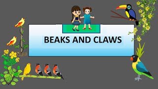 CBSE Class 4 Science Beaks and Claws of Birds [upl. by Tracay]