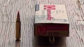 223 Remington Hornady 55gr VMAX Review [upl. by Nakhsa]