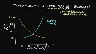 Pricing in a FreeMarket Economy [upl. by Teragramyram]