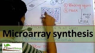 DNA Microarray synthesis [upl. by Aihsemaj]