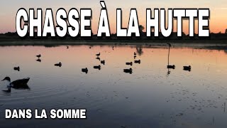 Chasse à la hutte  Dans la Somme [upl. by Hagar]