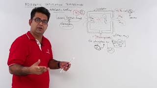 Adiabatic Saturation Temperature [upl. by Lakym782]