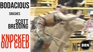 BODACIOUS knocks out Scott Bredding  Legendary Bucking Bulls [upl. by Lalittah]