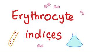 Erythrocyte indices — Hemoglobin Hematocrit MCV MCH amp MCHC — What Do These Lab Tests Mean [upl. by Friedrick448]