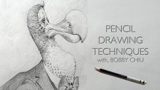 Pencil Drawing Techniques [upl. by Aseen980]