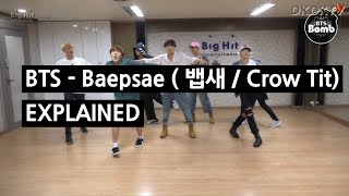 BTS  BAEPSAE 뱁새  Crow Tit Explained by a Korean [upl. by Musa]