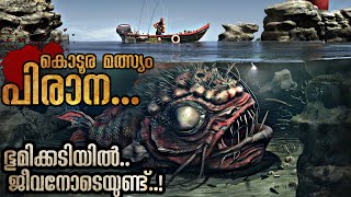 നദിയിലെ രാക്ഷസ മത്സ്യം  Piranha Malayalam Explanation  Mallu Explainer [upl. by Samtsirhc979]