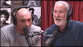 Joe Rogan amp Peter Schiff on Minimum Wage [upl. by Eneles]