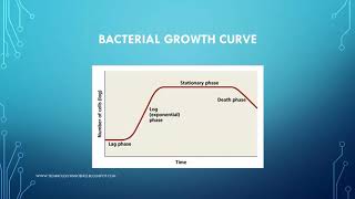 Bacterial Growth Curve [upl. by Ainegue344]