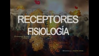 Receptores  Fisiología [upl. by Eiramave18]