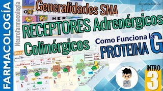 PROTEINA G 2do MENSAJEROS  Receptores ADRENÉRGICO COLINÉRGICO NEUROFARMACOLOGÍA INTRO P3 [upl. by Uot]