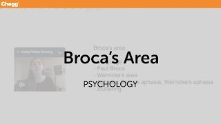 Broca’s Area  Psychology  Chegg Tutors [upl. by Bean154]