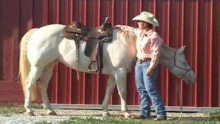 Judging how well your Western Saddle fits your horse [upl. by Ruffina]