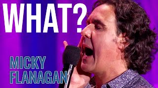 Understanding the Cleaner  Micky Flanagan  An Another Fing Live [upl. by Gillett]