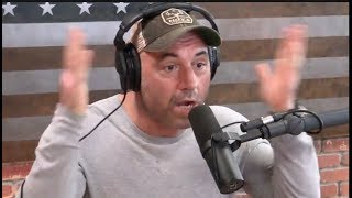 Joe Rogan on Transgender Athletes [upl. by Ilojna]