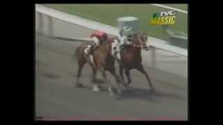 MATCH RACE  Quarter Horse vs Thoroughbred [upl. by Tressa]