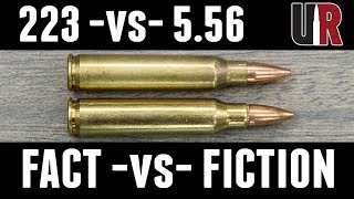 223 vs 556 FACTS and MYTHS [upl. by Ilellan]