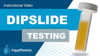 Dipslide Test [upl. by Lasley]