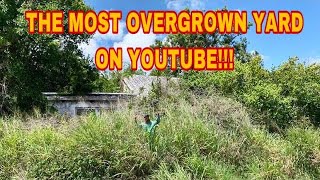 Cutting the WORST yard on YouTube Abandon house makeover for FREE [upl. by Fisk]