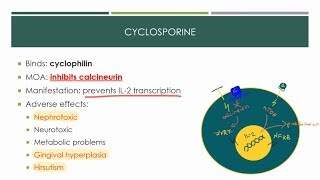 Immunosuppressants 2019 [upl. by Willman]