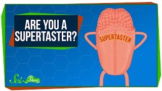 Are You a Supertaster [upl. by Acirret]