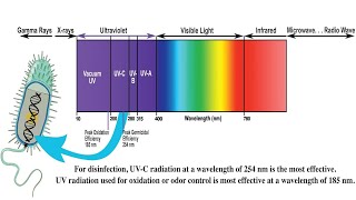 Understanding Ultraviolet UV Radiation and its Effects [upl. by Beckerman]