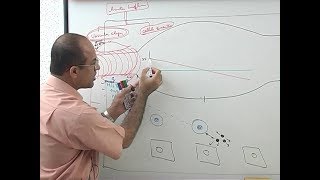 Inflammation  Vascular Events  Immunology  Dr Najeeb [upl. by Helaina]