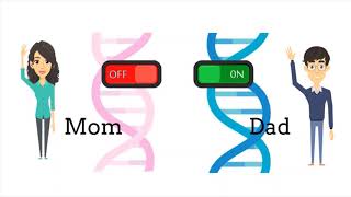 Genomic Imprinting [upl. by Eimot]