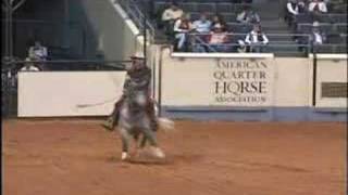 American Quarter Horse Championships [upl. by Pascal]