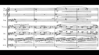 TANNHÄUSER by Richard Wagner Audio  Full Score [upl. by Llenahc]