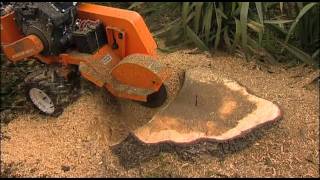 Stump Humper Stump Grinder [upl. by Arta]