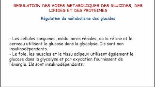 Régulation du métabolisme glucidique [upl. by Anawat27]