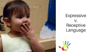 Receptive versus Expressive Language [upl. by Ailedamla]