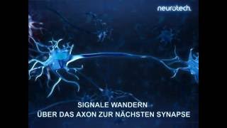 Grundlagen 6 Synapsen neurotech [upl. by Anitsim]