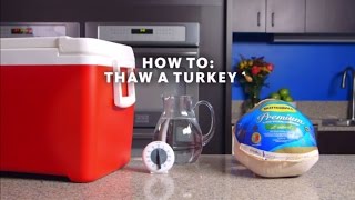 How to Safely Thaw a Frozen Turkey [upl. by Siahc680]