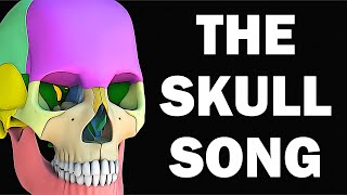 THE SKULL BONES SONG [upl. by Anileda]