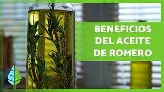 ACEITE de ROMERO 🪔🍃 ¡Propiedades BENEFICIOS y Cómo Hacerlo [upl. by Arraeic]