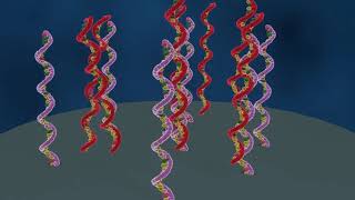 DNA microarray explained english speak [upl. by Lantha]