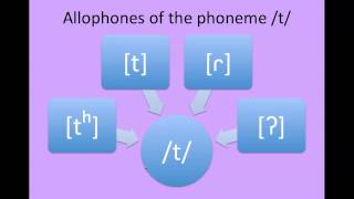 Phonology [upl. by Rafael153]