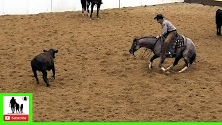 Cutting Horses Class 56 Final  2020 Metallic Cat West Texas Futurity [upl. by Magree]