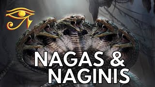 The Nagas amp Naginis  Serpentine Beings of Indian Legend [upl. by Lion517]