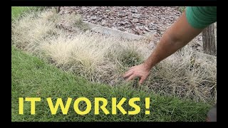 DIY Weed Killer that is SAFE and EFFECTIVE [upl. by Llerreg]