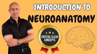 Intro to Neuroanatomy  Neurophysiology  Neuroscience  Central Nervous System [upl. by Halian]