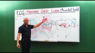 ECG  EKG  Chest Leads  Cardiology  Dr Najeeb🩺 [upl. by Ayotaj]