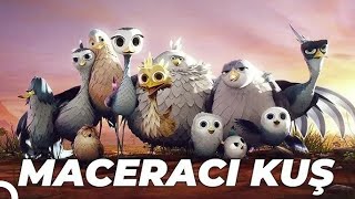 Maceracı Kuş Yellowbird Animasyon Filmi  Full Film İzle [upl. by Anastas]