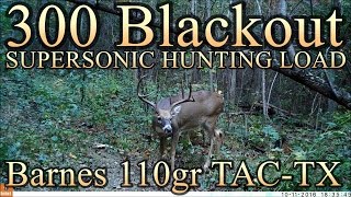 300 BLK Supersonic Hunting Load with 110gr Barnes TACTX [upl. by Dela]