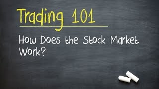 Trading 101 How Does the Stock Market Work [upl. by Acsecnarf]