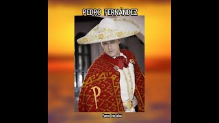 PEDRO FERNANDEZ  FUERON TRES AÑOS LETRA [upl. by Hershell]