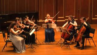 Arnold Schoenberg  Transfigured Night for String Sextet Op 4 [upl. by Enirehtahc17]